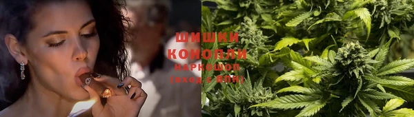 прущие грибы Абдулино