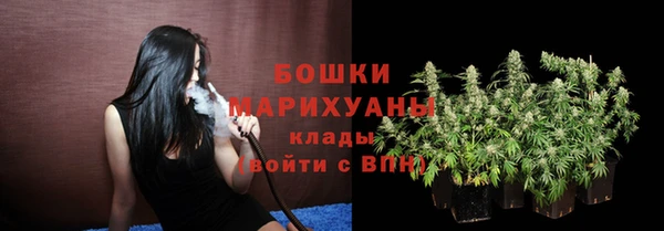 прущие грибы Абдулино