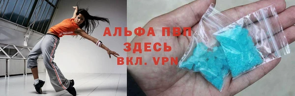 прущие грибы Абдулино