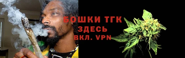 индика Дмитров