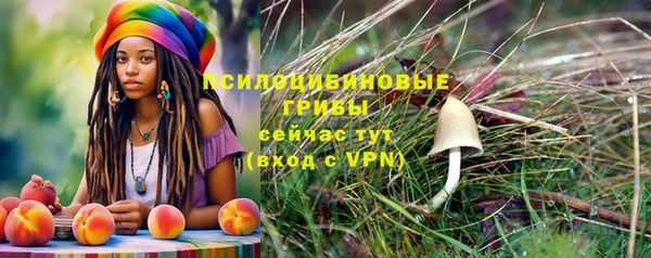 марки lsd Абинск