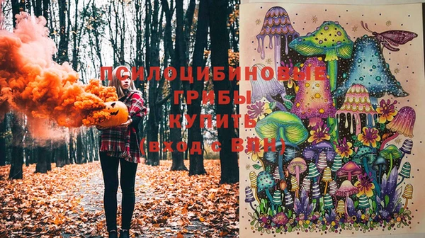 прущие грибы Абдулино