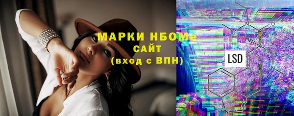 прущие грибы Абдулино