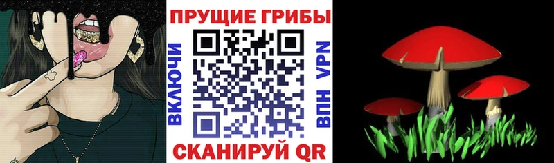 Галлюциногенные грибы Psilocybine cubensis  blacksprut ТОР  Петров Вал  купить наркотик 
